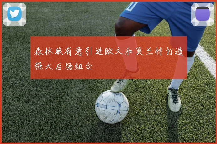 森林狼有意引进欧文和莫兰特打造强大后场组合